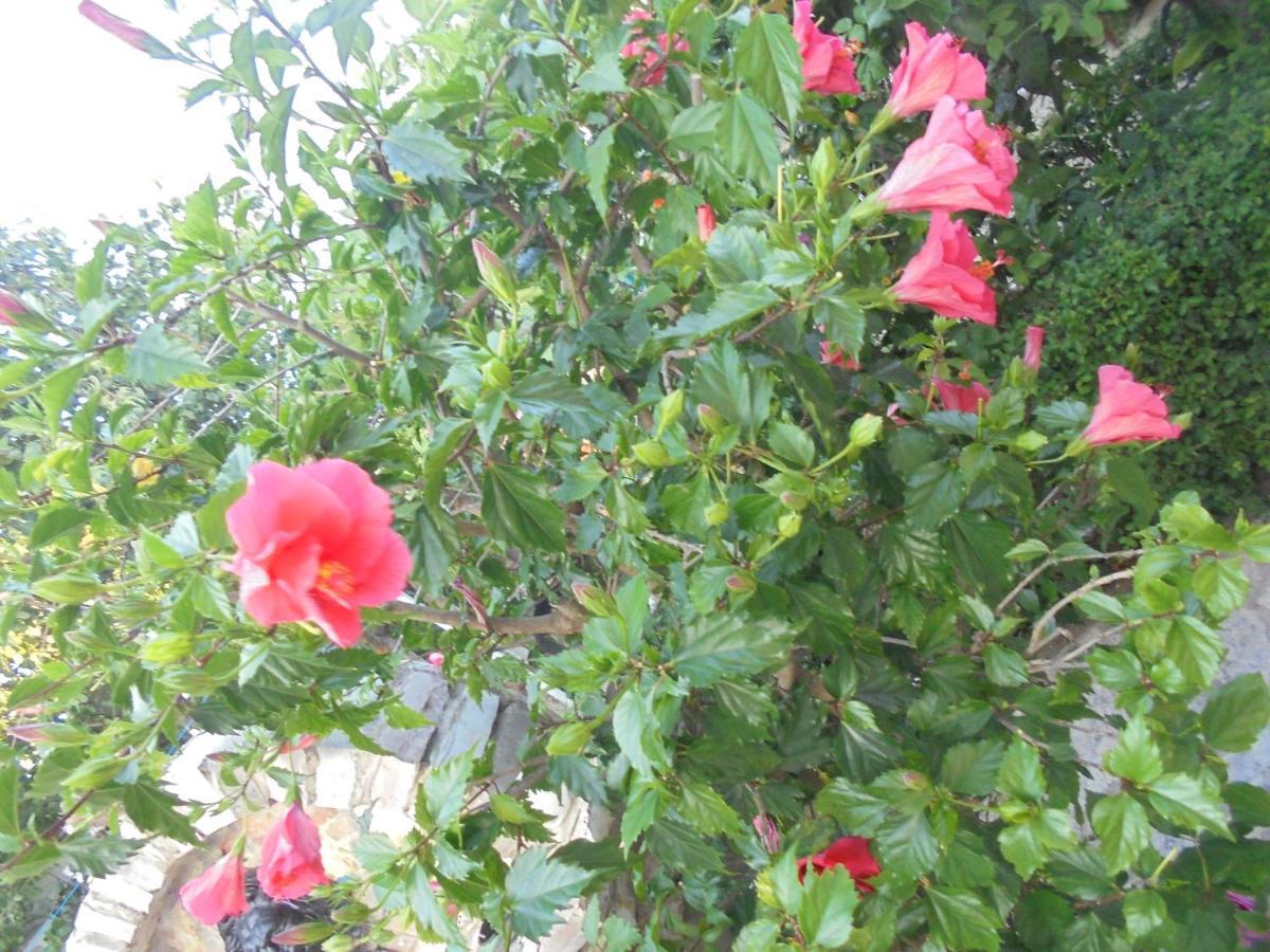 Vila Ori Ksamil Extérieur photo