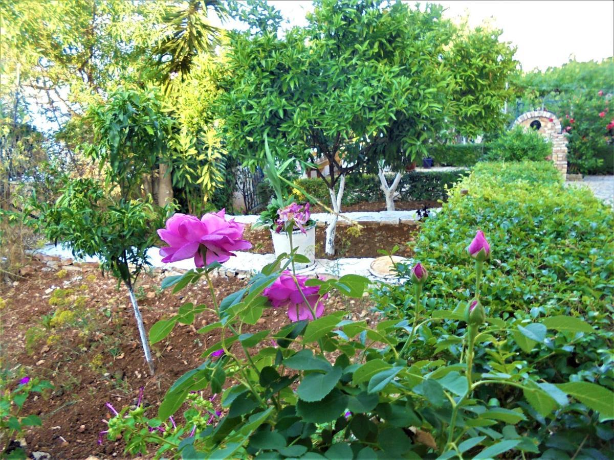 Vila Ori Ksamil Extérieur photo